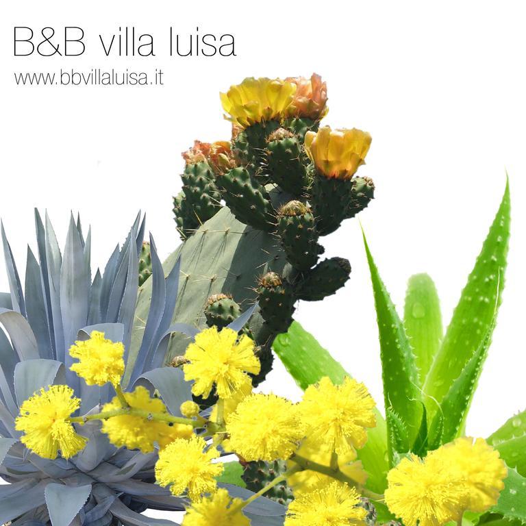 B&B Villa Luisa Casarza Ligure Exteriér fotografie