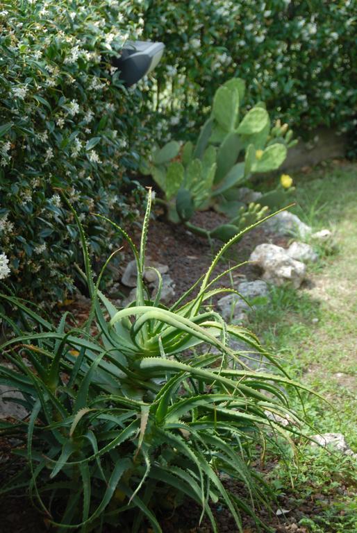 B&B Villa Luisa Casarza Ligure Exteriér fotografie